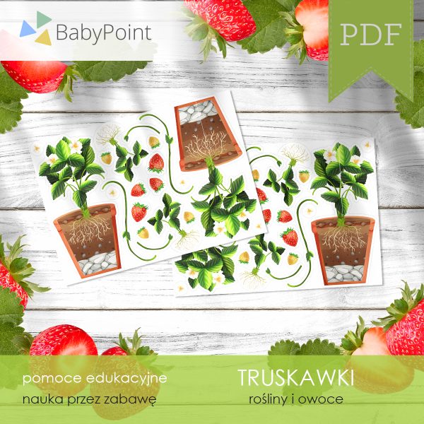 TRUSKAWKI - Zestaw edukacyjny 3D