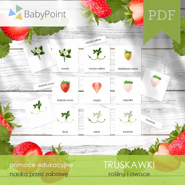 TRUSKAWKI - Zestaw edukacyjny 3D