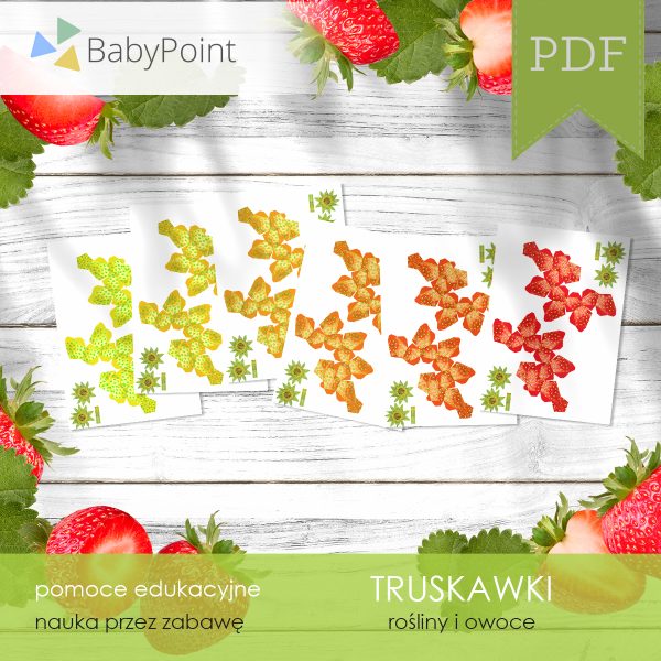 TRUSKAWKI - Zestaw edukacyjny 3D
