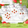 TRUSKAWKI - Zestaw edukacyjny 3D