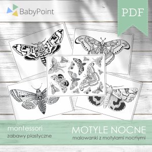 MOTYLE NOCNE - Malowanki
