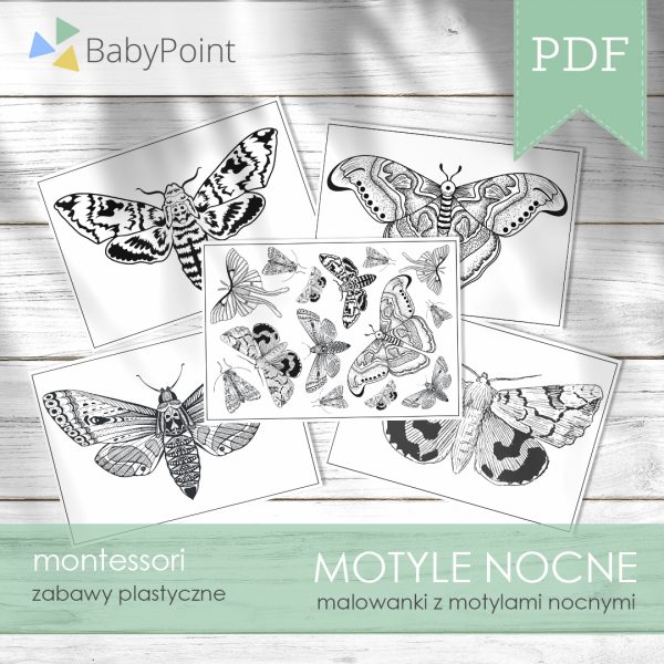 MOTYLE NOCNE - Malowanki