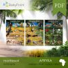 Afryka - Zestaw edukacyjny 3D