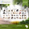 Afryka - Zestaw edukacyjny 3D