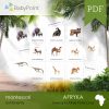 Afryka - Zestaw edukacyjny 3D