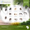 Afryka - Zestaw edukacyjny 3D