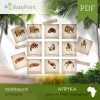 Afryka - Zestaw edukacyjny 3D