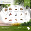Afryka - Zestaw edukacyjny 3D