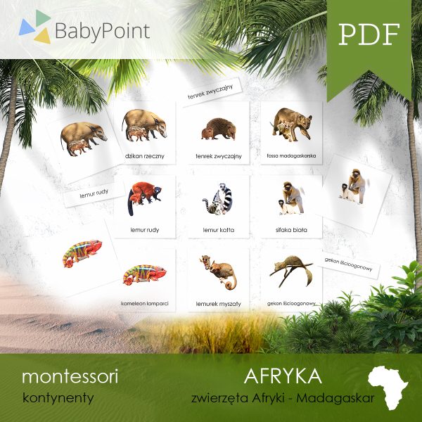 Afryka - Zestaw edukacyjny 3D