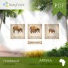 Afryka - Zestaw edukacyjny 3D