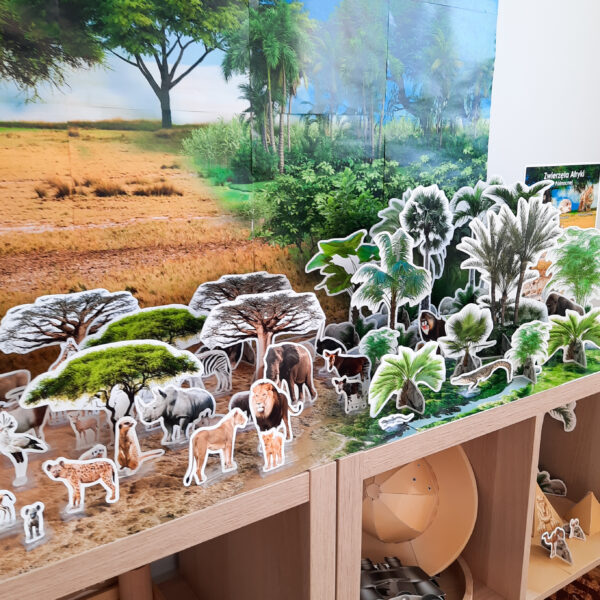 Safari