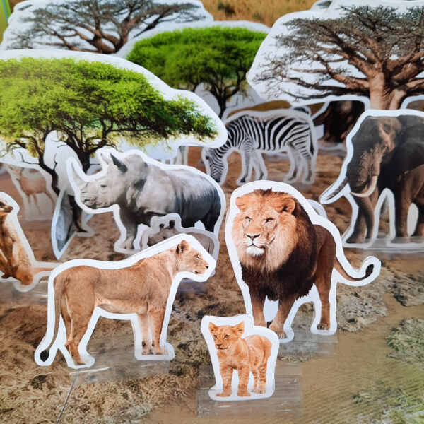 Safari