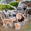 Safari