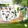 Afryka - Zestaw edukacyjny 3D