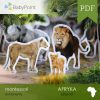 Afryka - Zestaw edukacyjny 3D