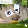 Afryka - Zestaw edukacyjny 3D