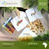 Afryka - Zestaw edukacyjny 3D