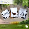 Afryka - Zestaw edukacyjny 3D