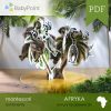 Afryka - Zestaw edukacyjny 3D