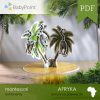 Afryka - Zestaw edukacyjny 3D