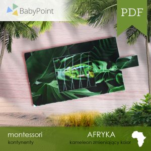 Afryka - Zestaw edukacyjny 3D