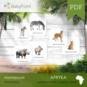 AFRYKA - Zwierzęta afryki - Rodzice i dzieci