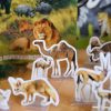 Safari