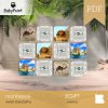 EGIPT - Zestaw edukacyjny 3D