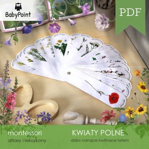 KWIATY POLNE - Atlas obrotowy