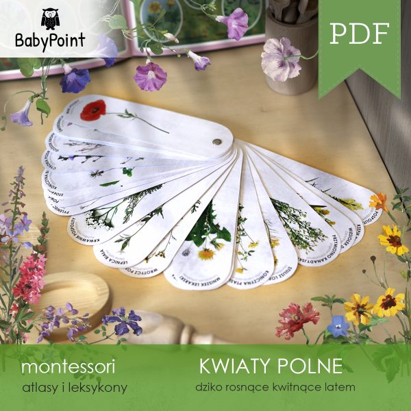KWIATY POLNE - Atlas obrotowy