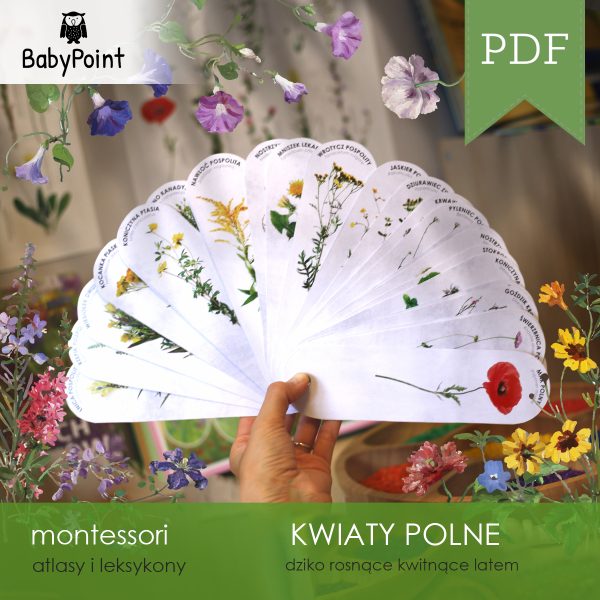 KWIATY POLNE - Atlas obrotowy