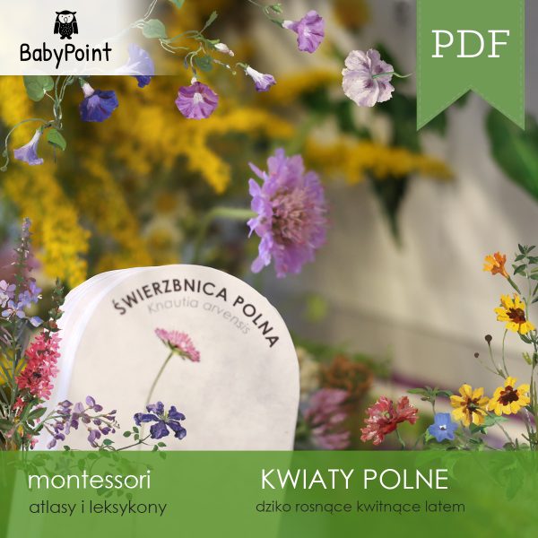 KWIATY POLNE - Atlas obrotowy