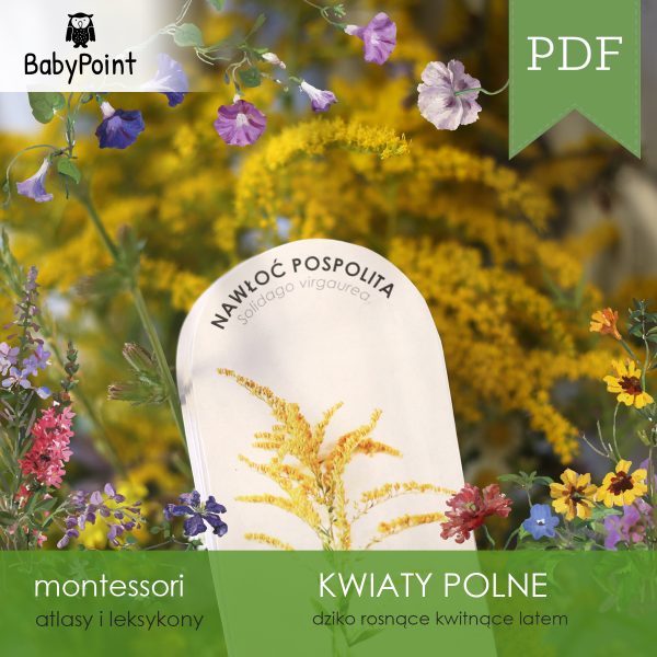 KWIATY POLNE - Atlas obrotowy