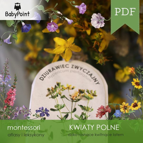 KWIATY POLNE - Atlas obrotowy