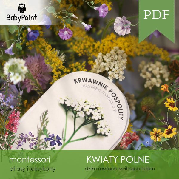 KWIATY POLNE - Atlas obrotowy