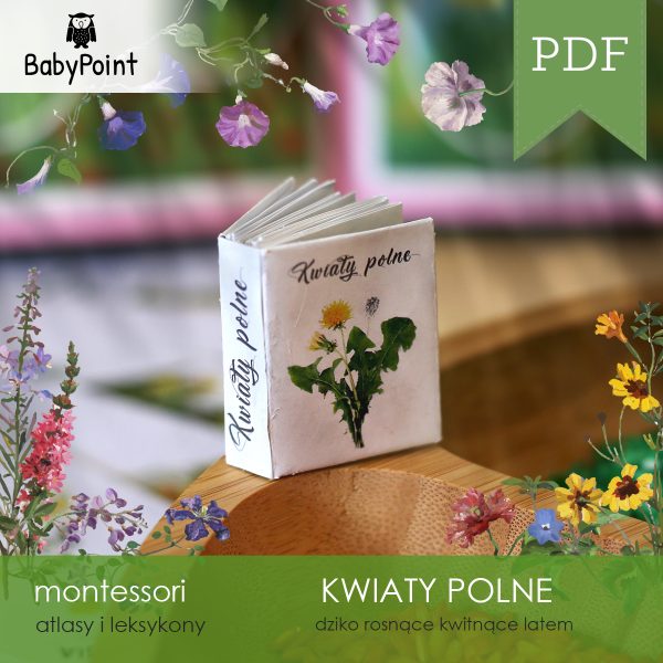 KWIATY POLNE - Mini leksykon