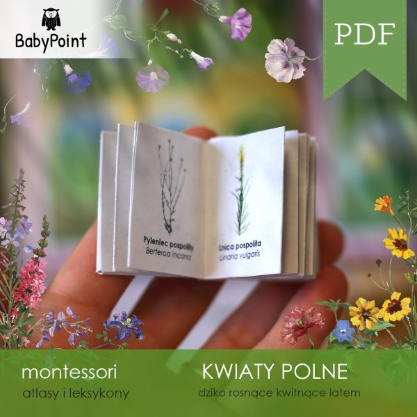 KWIATY POLNE - Mini leksykon
