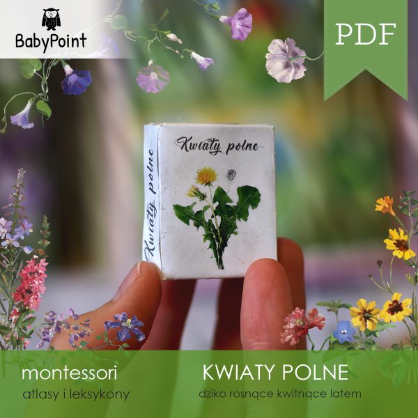 KWIATY POLNE - Mini leksykon
