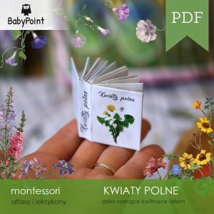 KWIATY POLNE - Mini leksykon