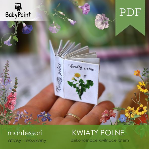KWIATY POLNE - Mini leksykon