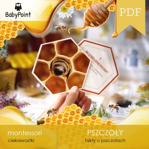 Fakty o pszczołach