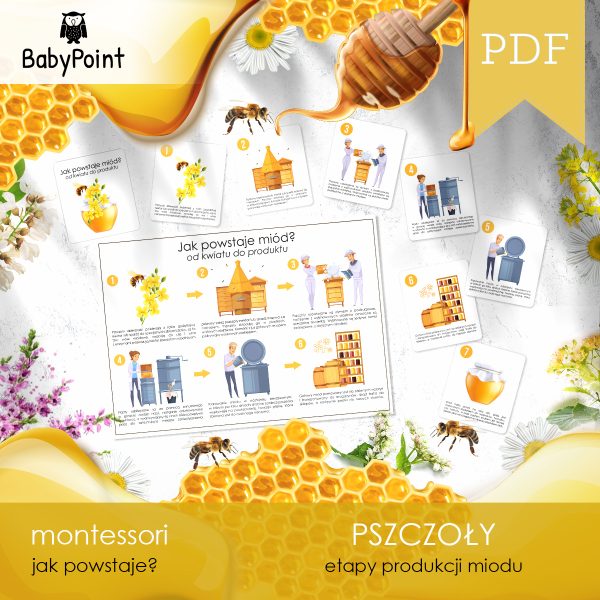 PSZCZOLY - Zestaw edukacyjny 3D
