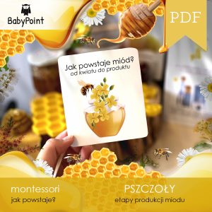 PSZCZOLY - Zestaw edukacyjny 3D