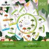 JABŁKA - Zestaw edukacyjny 3D