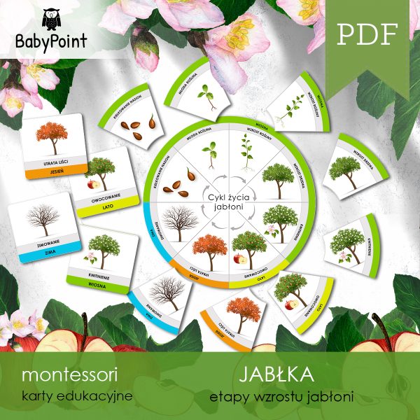 JABŁKA - Zestaw edukacyjny 3D