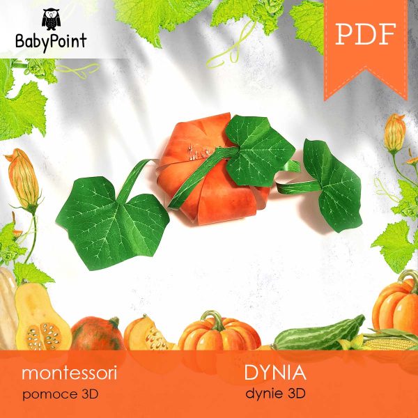 DYNIA - Zestaw edukacyjny 3D