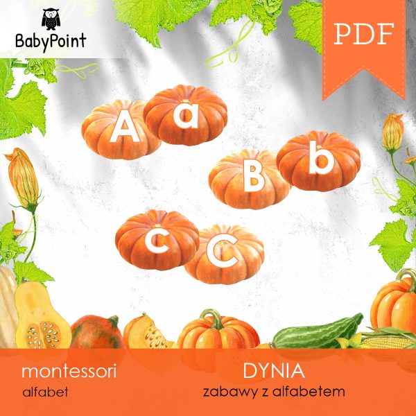 DYNIA - Zestaw edukacyjny 3D