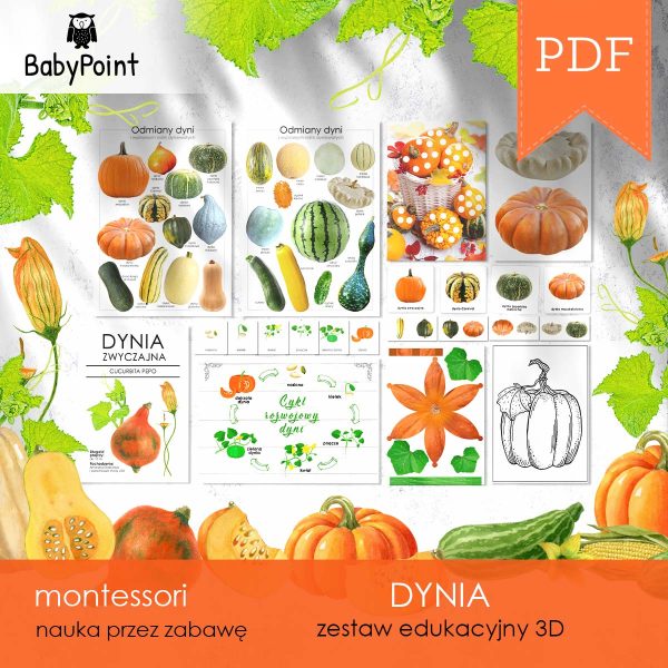 DYNIA - Zestaw edukacyjny 3D