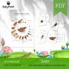 ZABY - Zestaw edukacyjny 3D