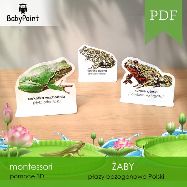 ZABY - Zestaw edukacyjny 3D